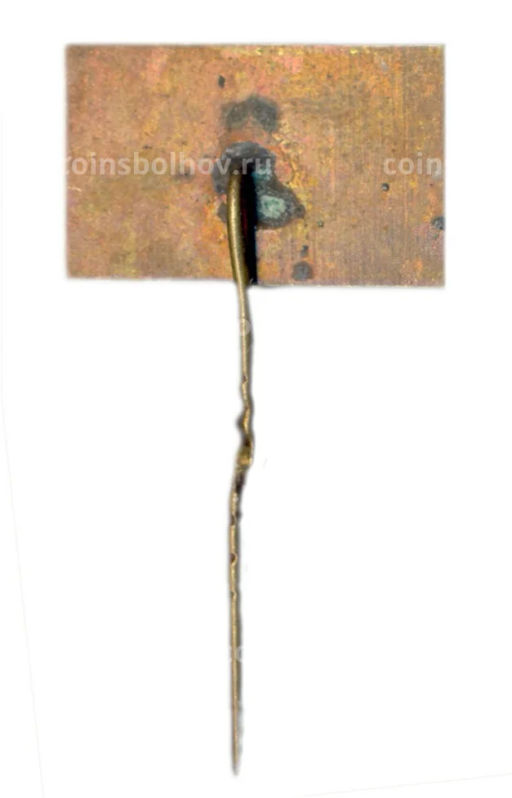 Значок Вильнюс