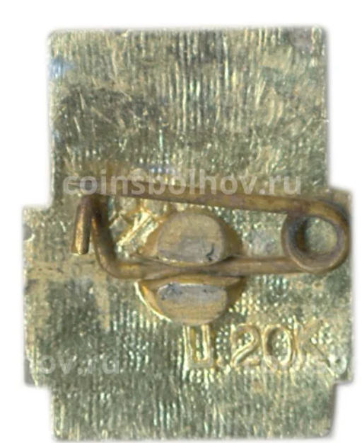 Значок Гомель