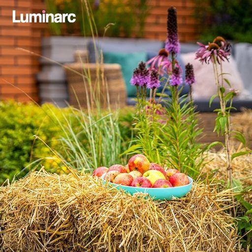 Блюдо для подачи ФРЕНДС ТАЙМ ТЮРКУАЗ 25см ПЛОВ - Luminarc фото 3