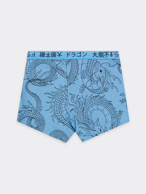 Трусы для мальчиков боксеры мультипак (2 шт.) в пыльно-зеленом цвете с драконами - Mark formelle фото 5