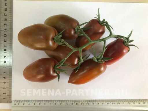 Томат Бурый Саладет F1 - Партнер фото 7