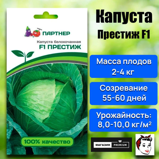Капуста белокочанная позднеспелая Престиж - Партнер фото 8