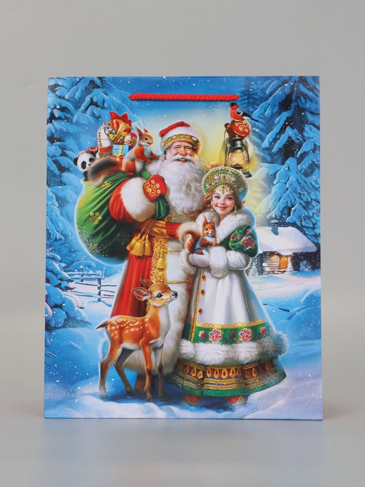 Цена за 2 шт. Пакет подарочный «Дед Мороз и Снегурочка», 26×12×32 см