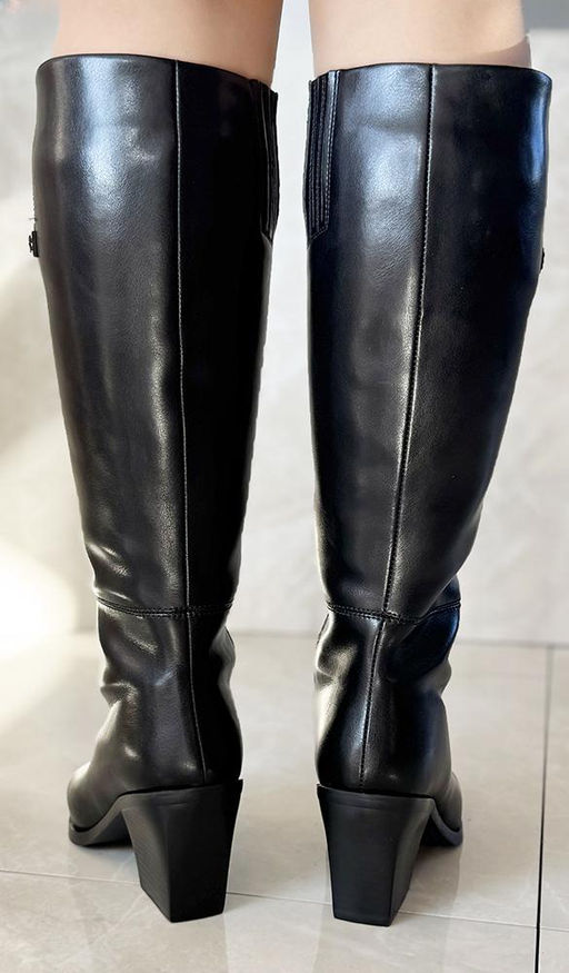 Сапоги Francesco Donni 1S7 699RC-C24-02