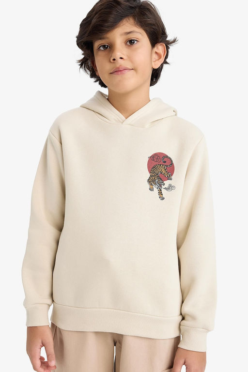 Kap__onlu S_rt Bask_l_ __i Yumu_ak T_yl_ Sweatshirt Erkek _ocuk - Defacto фото 3