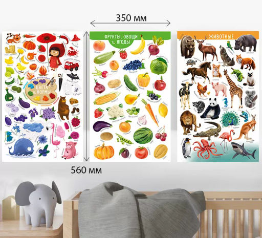 Мои первые развивающие плакаты - Робинс фото 3