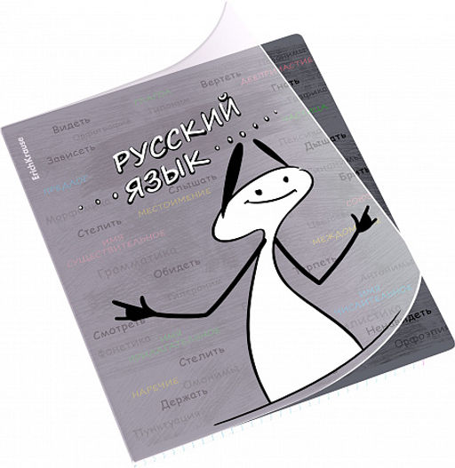 Цена за 5 шт. Тетрадь общая ученическая с пластиковой обложкой на скобе ErichKrause Чубрик, Русский язык, 48 листов, линейка