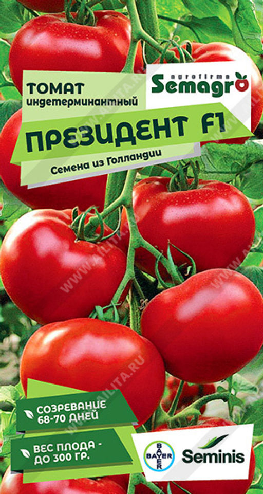 Томат Президент F1 --- Семагро