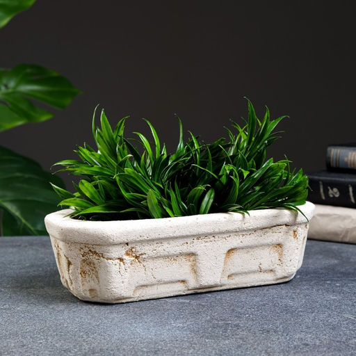 Фигурное кашпо для цветов «Кактусница», 800 мл, 24×9×7 см, керамика, бежевое