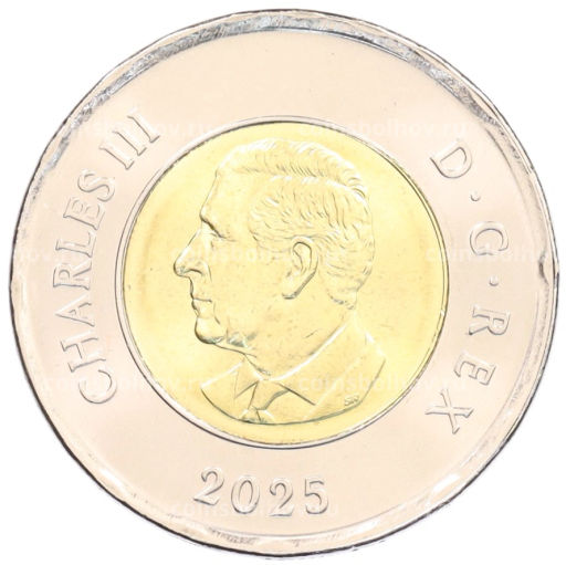 2 доллара 2025 года Канада Чествование неизвестного солдата Канады