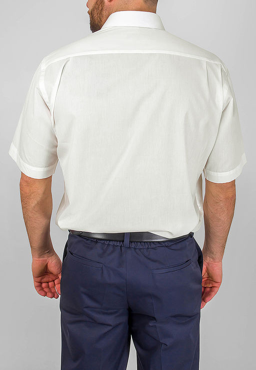 Сорочка мужская короткий рукав GREG 510/109/ALT  фото 3