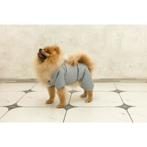 Комбинезон зимний для животных, флис, S (ДС 20-22, ОГ 32-34 см, ОШ 26 см), серый - Пижон фото 16