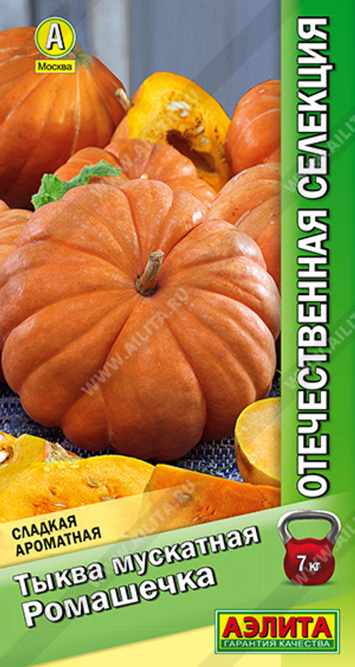 Тыква мускатная Ромашечка