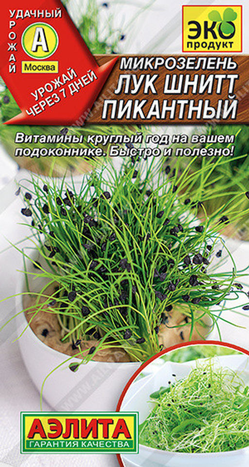 6036U Микрозелень Лук шнитт Пикантный 2гр