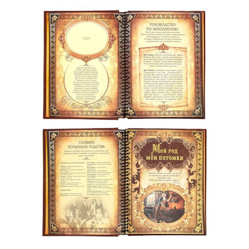 Родословная книга История семьи, 30 листов, 24.5 х 29.2 см - Семейные традиции фото 5
