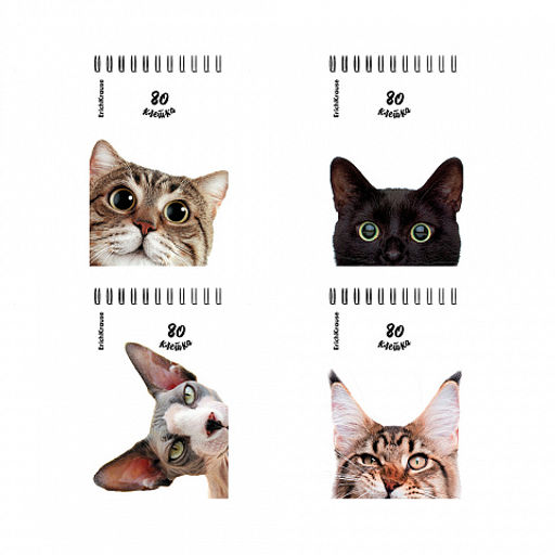 Цена за 4 шт. Блокнот на спирали ErichKrause Котики, А6, 80 листов, клетка_MIX-PACK  фото 2