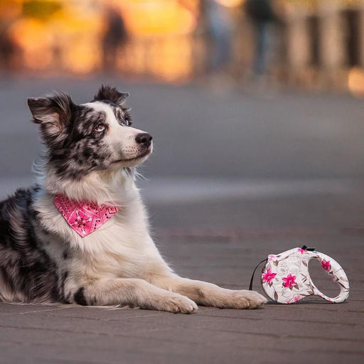 Рулетка Лапа, 5 м, до 35 кг, принт цветы - Пижон фото 11