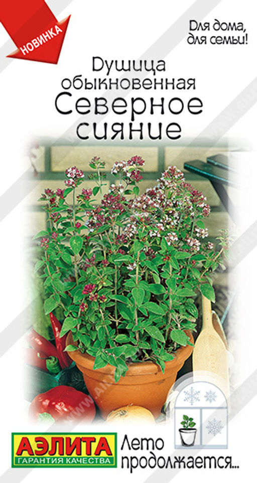 Душица обыкновенная Северное сияние