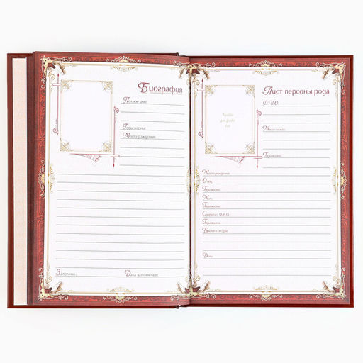 Родословная книга новогодняя «Дед Мороз» 17×2×23.7 см