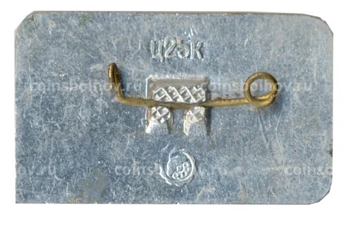 Значок Галич