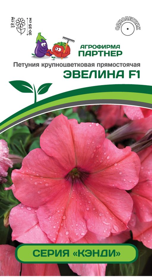 Петуния Кэнди Эвелина прямостоячая коралловая