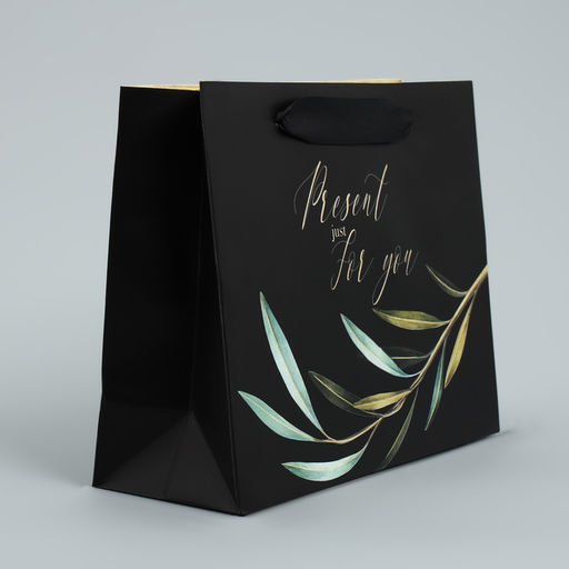 Цена за 2 шт. Пакет подарочный ламинированный, упаковка, «Present just for you», 22 х 17.5 х 8 см