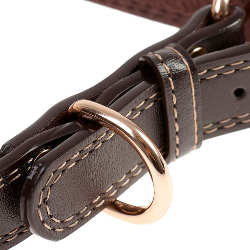 Ошейник с золоченой табличкой и фурнитурой, 55 х 2,5 см, коричневый - Пижон фото 3