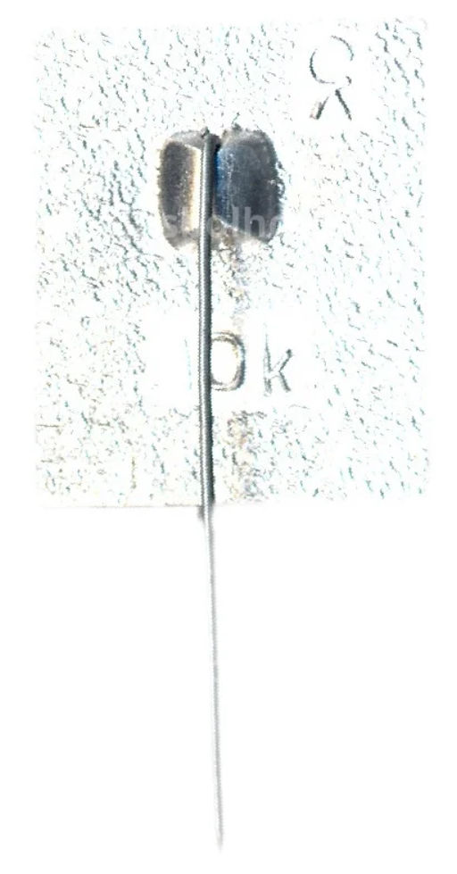 Значок Летний дворец Петра I