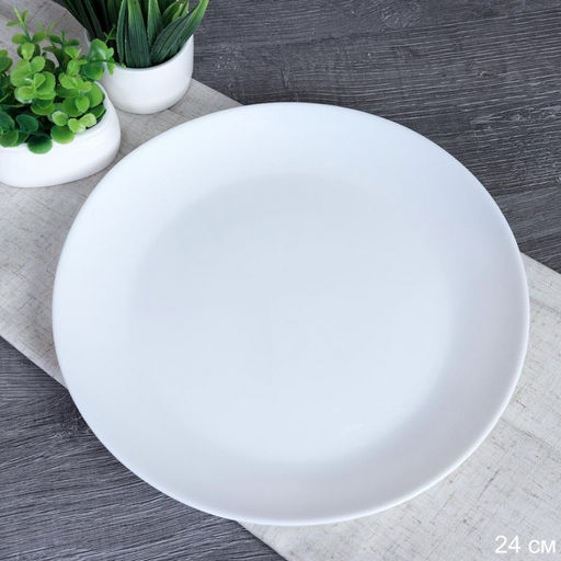 Тарелка 240 мм БЕЛАЯ Евро/Дэй (WHITE) арт. FLY100, YGP-95, LQP95/6, FLYGP95 (727557, 730034, 743711)