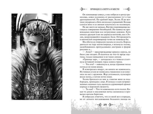 Принцесса ветра и мести (#2)