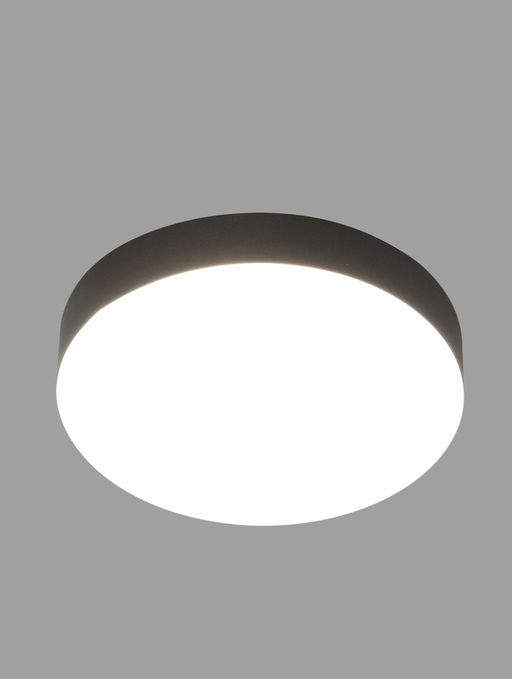 Светильник потолочный LED Relict 22 SPB-6-20, 20Вт, 4000К, d210 h55, без ПДУ, чёрный