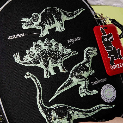 RAz-587-5 Рюкзак школьный - Grizzly фото 38