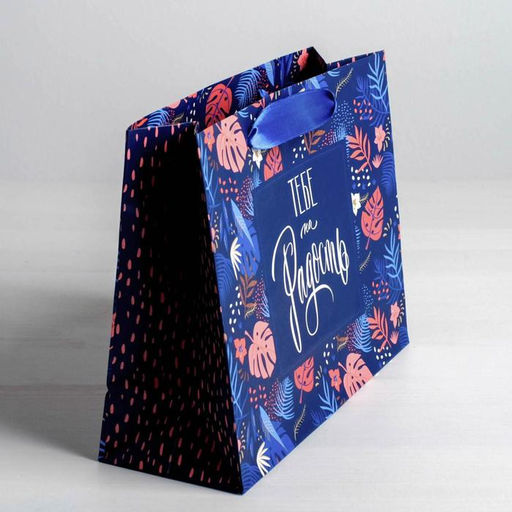 Цена за 2 шт. Пакет подарочный ламинированный, упаковка, Тебе на радость 22?17.5?8 см