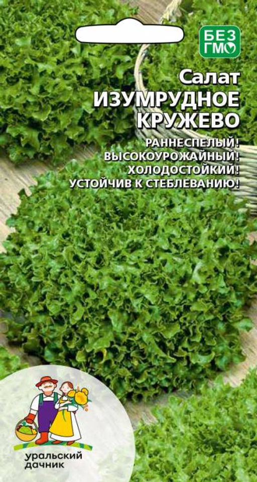 Салат ИЗУМРУДНОЕ КРУЖЕВО Раннеспелый! Высокоурожайный! Холодостойкий! Устойчив к стеблеванию!