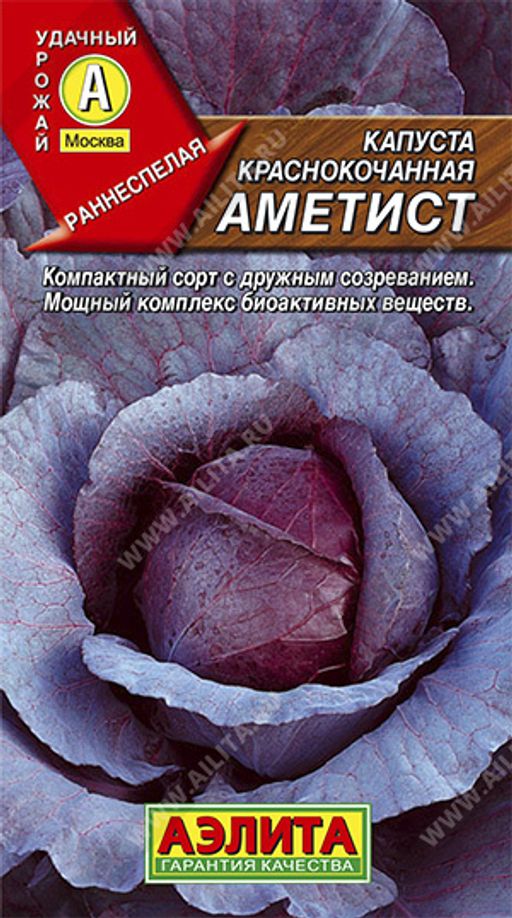 Капуста к/к Аметист (2024)
