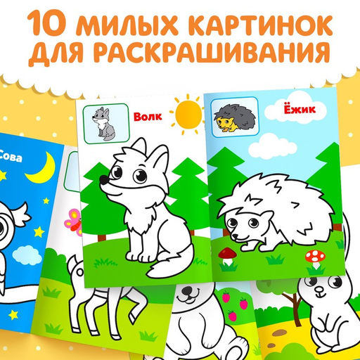 Раскраска для малышей по образцу Лесные животные, 12 стр. - Буква-Ленд фото 3