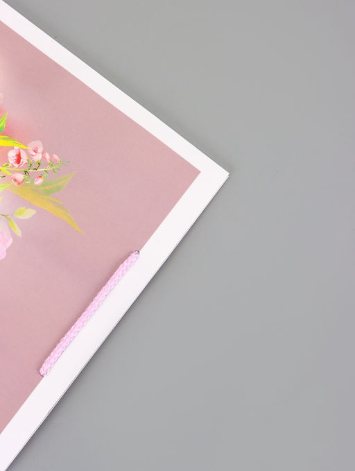 Цена за 2 шт. Пакет подарочный ламинированный вертикальный Самый лучший подарок, 26?12?32 см