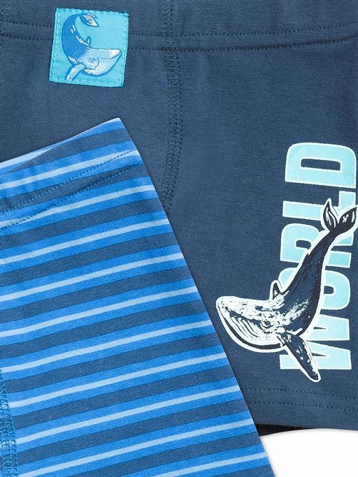 BUHB3223(2шт. в упаковке) трусы для мальчиков - Pelican фото 2