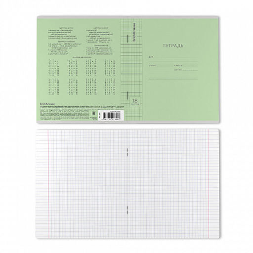 Цена за 200 шт. Тетрадь школьная ученическая ErichKrause Классика Visio зеленая, 18 листов, клетка (в плёнке по 10 шт.)  фото 24