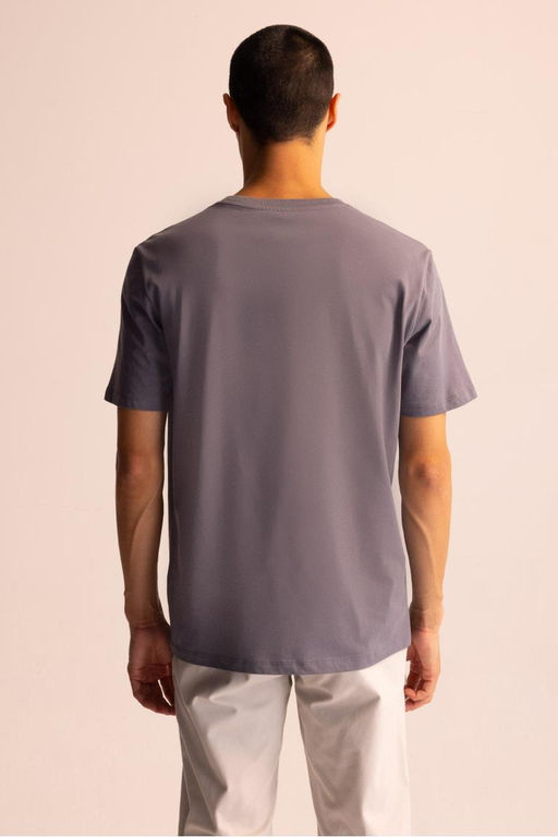 Базовая футболка стандартного кроя с круглым вырезом и короткими рукавами - Defacto фото 5