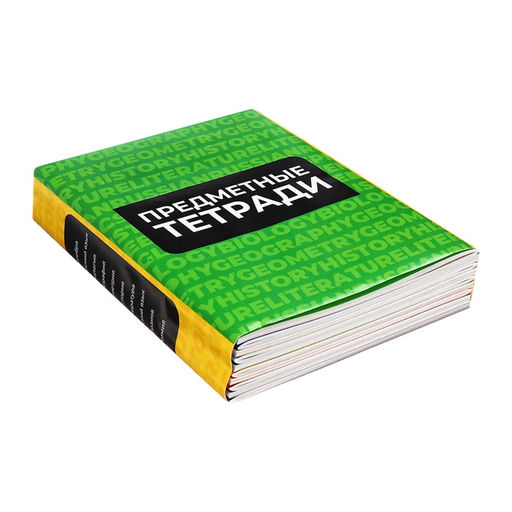 Набор предметных тетрадей Calligrata. MonoTone, 10 предметов, 36 листов, со справочным материалом, серые листы, обложка из мелованной бумаги