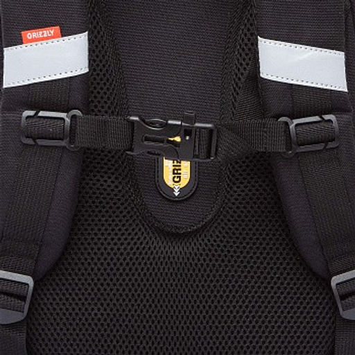 RAz-587-1 Рюкзак школьный - Grizzly фото 10