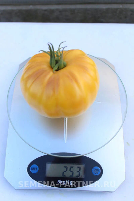 Томат Крем Торт - Партнер фото 6