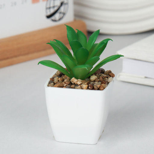 Цветочная композиция Кактус / WER-19 /уп 12/192/ микс - Галеонтрейд фото 16