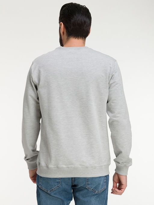 Свитшот мужской GREG G121-OZ02-28 (св.серый м.)  фото 6