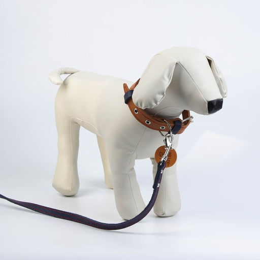 Комплект : ошейник (36-56х2.5 см) и поводок (130х1.5 см), цвет бежевый и синий - Пушистое счастье фото 7