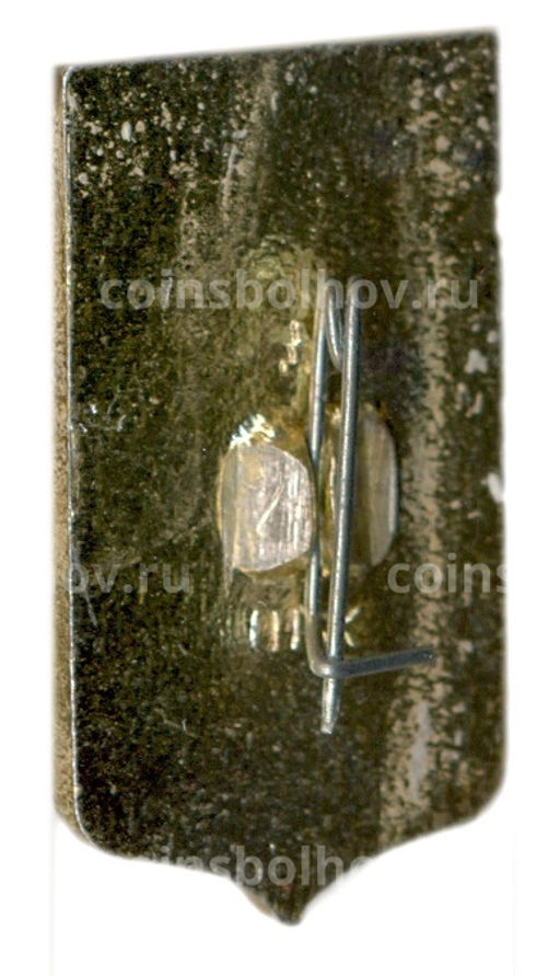 Значок Пенза