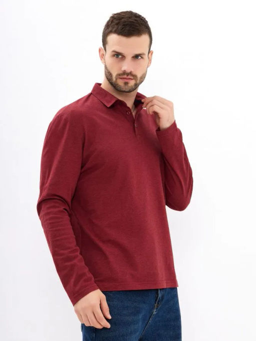 Джемпер мужской с воротником поло GREG G155-PM14T-LT7326 (бордо)  фото 6