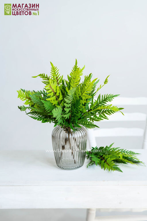 135	Папоротник 4 - Без тм фото 6
