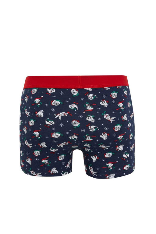 Боксеры обычного кроя Looney Tunes с рождественской тематикой - Defacto фото 5